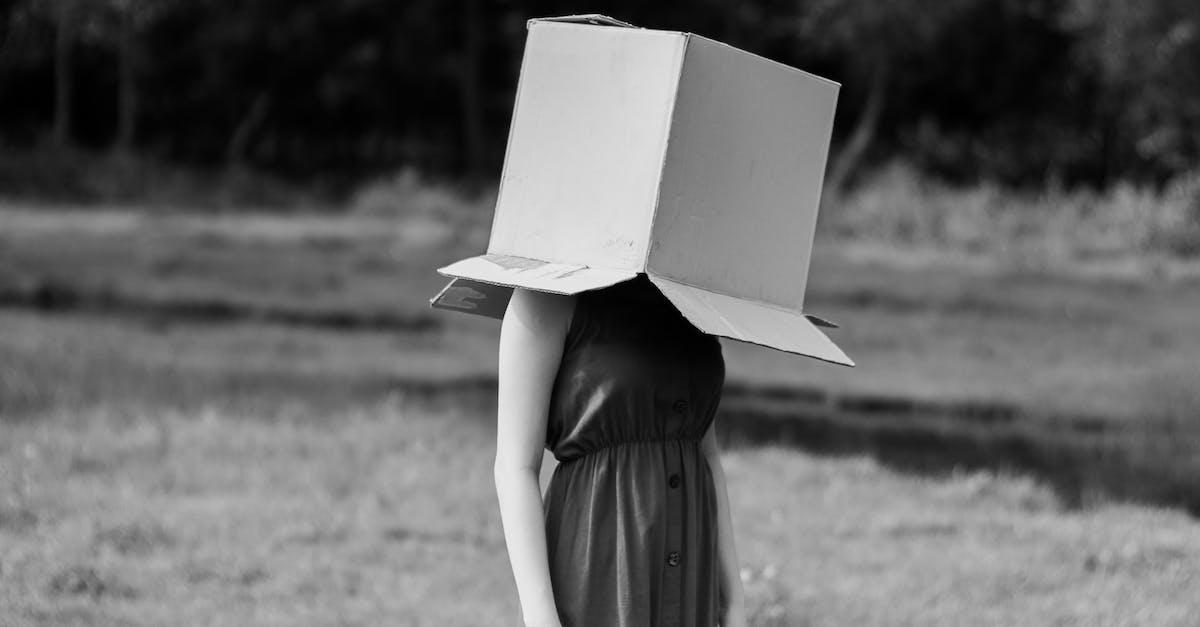 El sueco Hamtol Danpe gana el concurso mundial de guerras de cartón